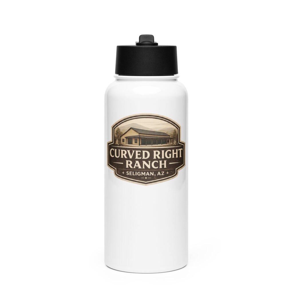Stainless steel water bottle with a straw lid